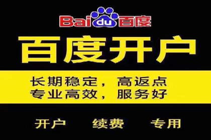 百度竞价公司案例分享：打造高效广告投放方案